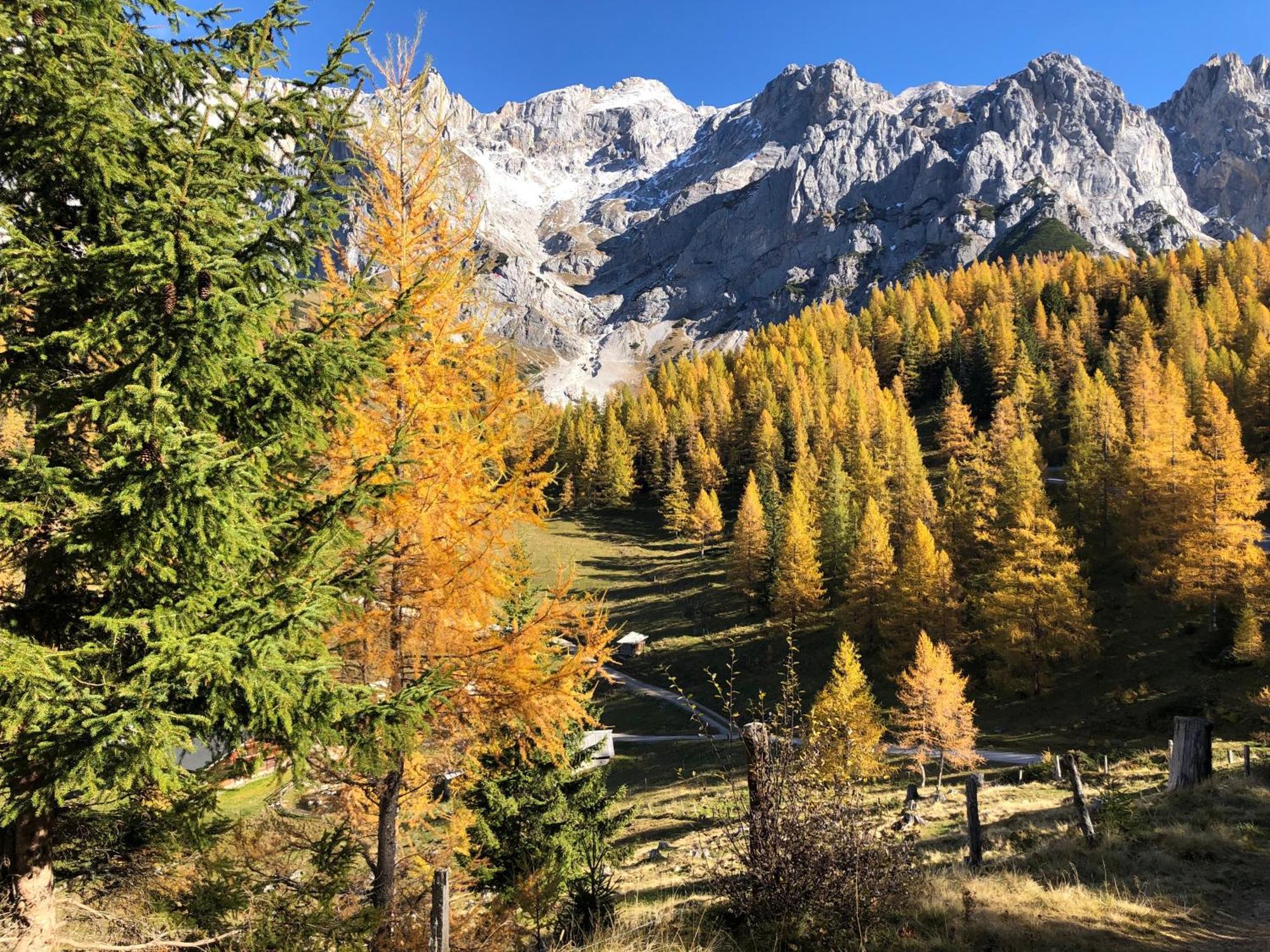 Romantikapartment Mit Sommercard Ramsau am Dachstein Kültér fotó