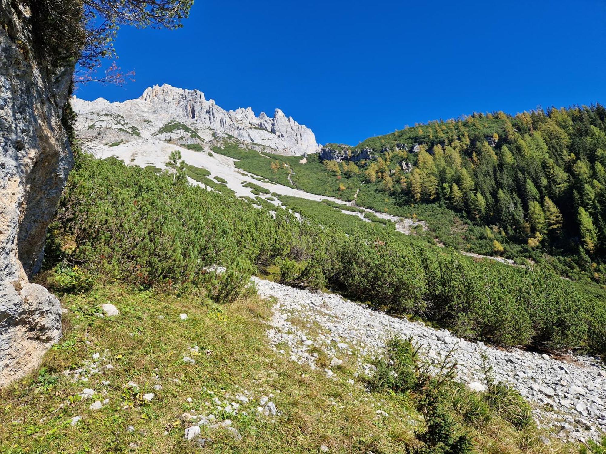 Romantikapartment Mit Sommercard Ramsau am Dachstein Kültér fotó