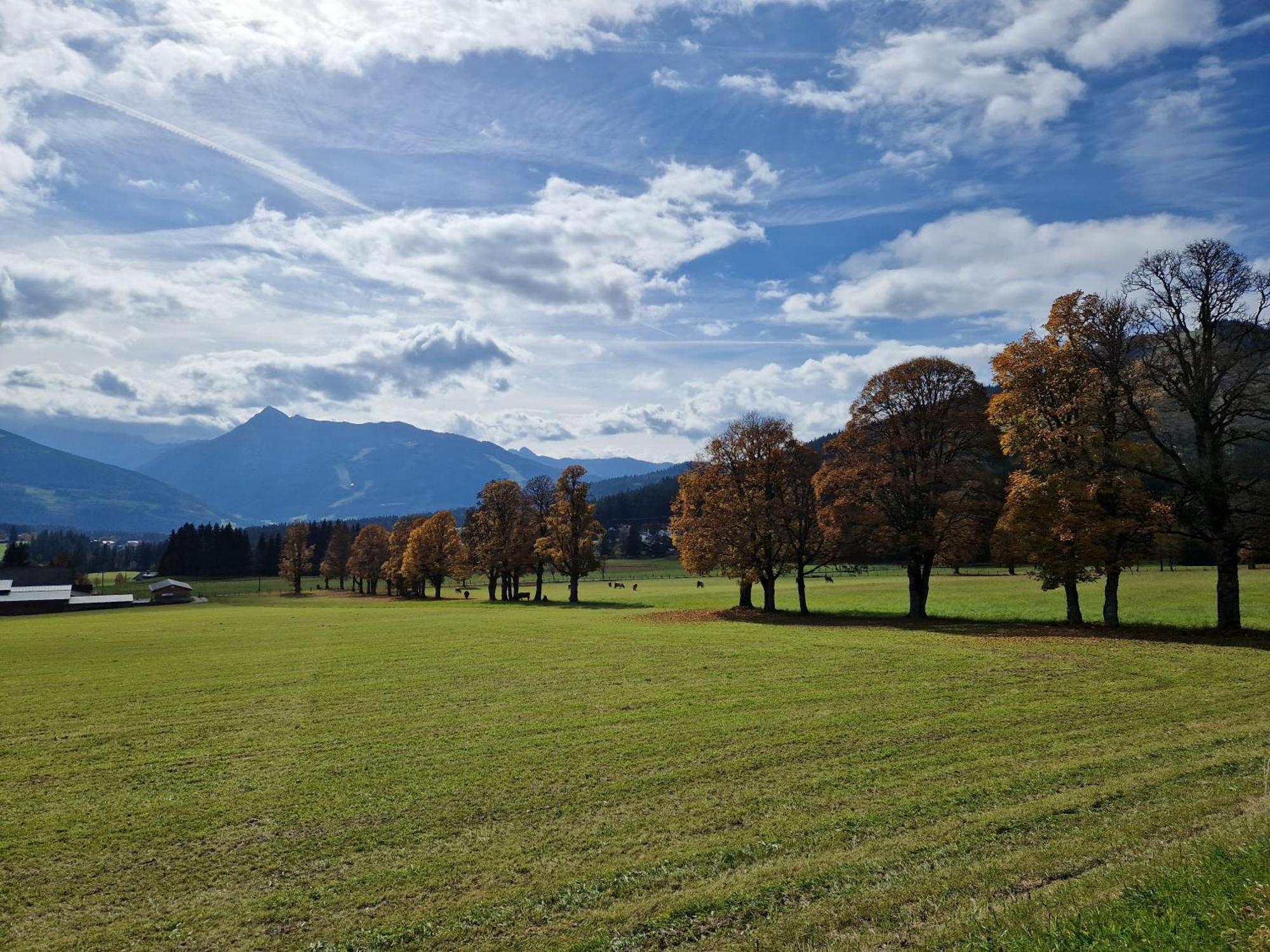 Romantikapartment Mit Sommercard Ramsau am Dachstein Kültér fotó