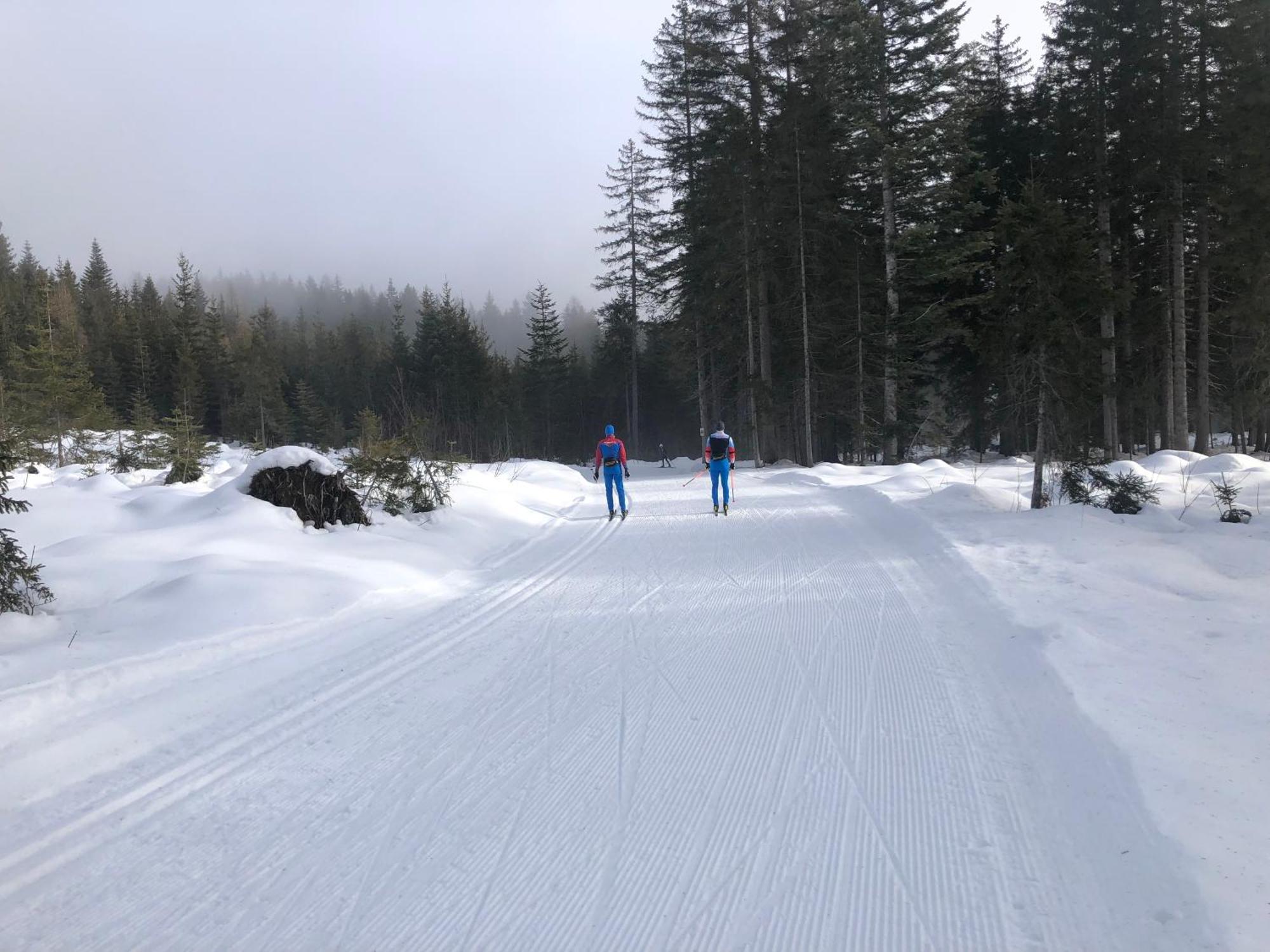Romantikapartment Mit Sommercard Ramsau am Dachstein Kültér fotó
