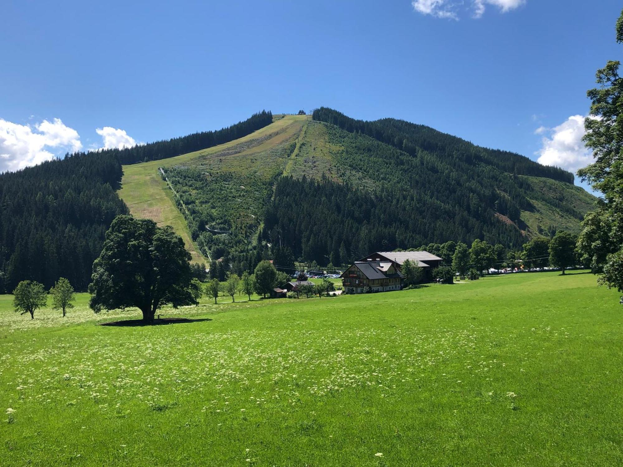 Romantikapartment Mit Sommercard Ramsau am Dachstein Kültér fotó