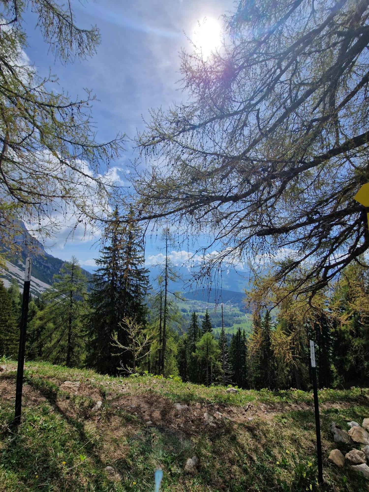 Romantikapartment Mit Sommercard Ramsau am Dachstein Kültér fotó