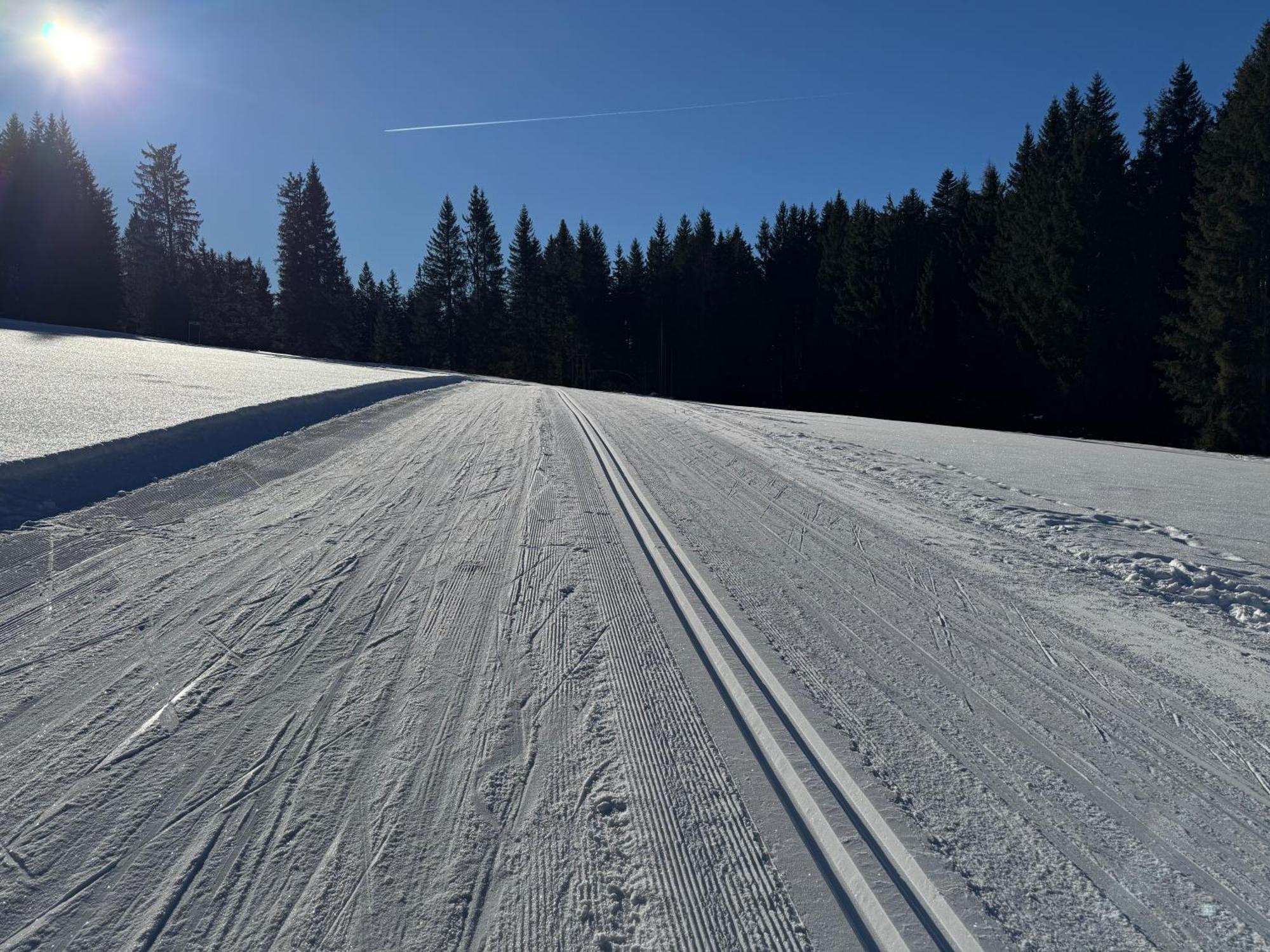 Romantikapartment Mit Sommercard Ramsau am Dachstein Kültér fotó