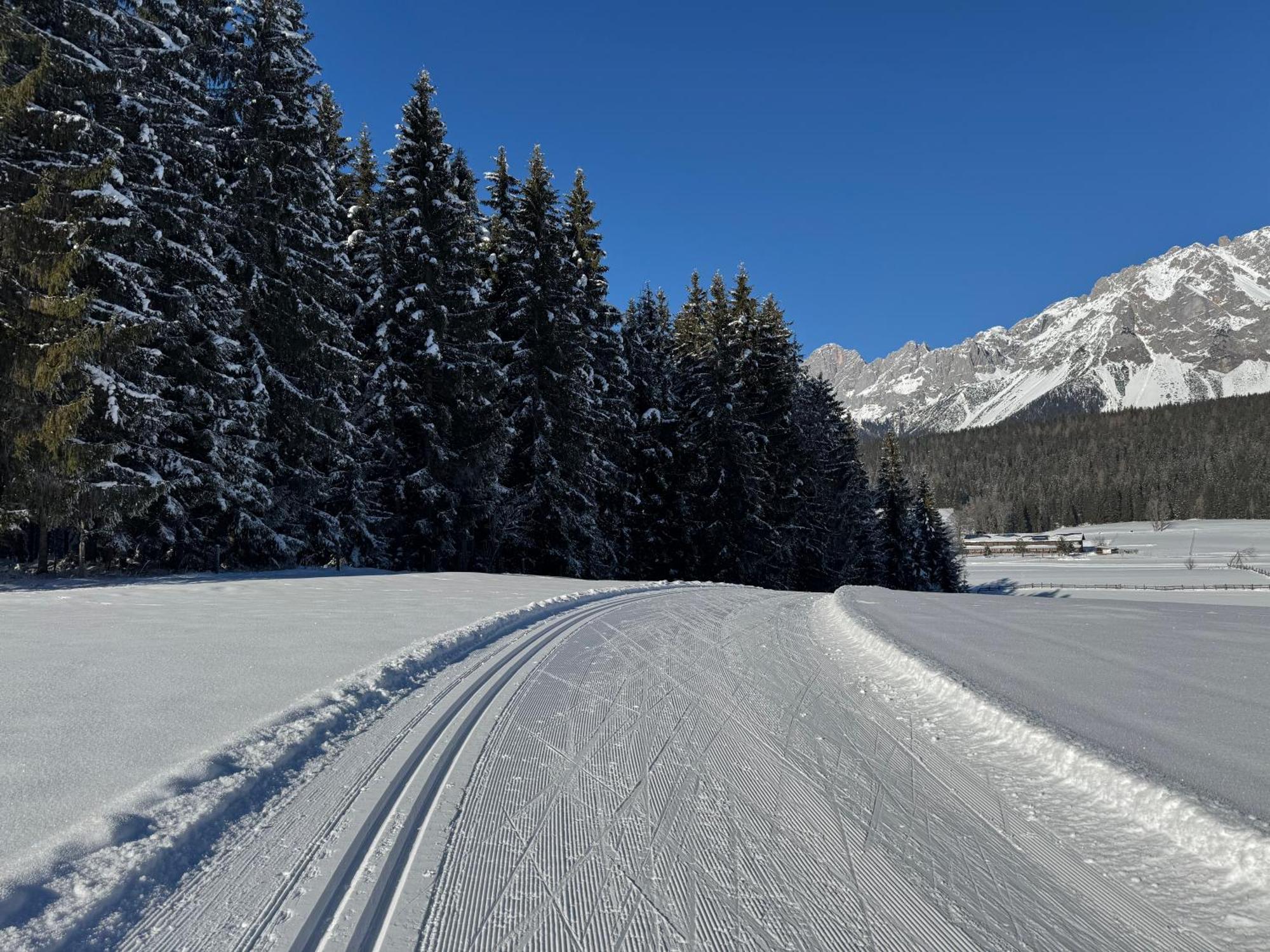 Romantikapartment Mit Sommercard Ramsau am Dachstein Kültér fotó