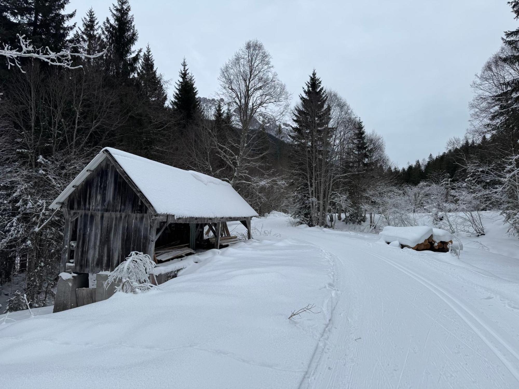 Romantikapartment Mit Sommercard Ramsau am Dachstein Kültér fotó